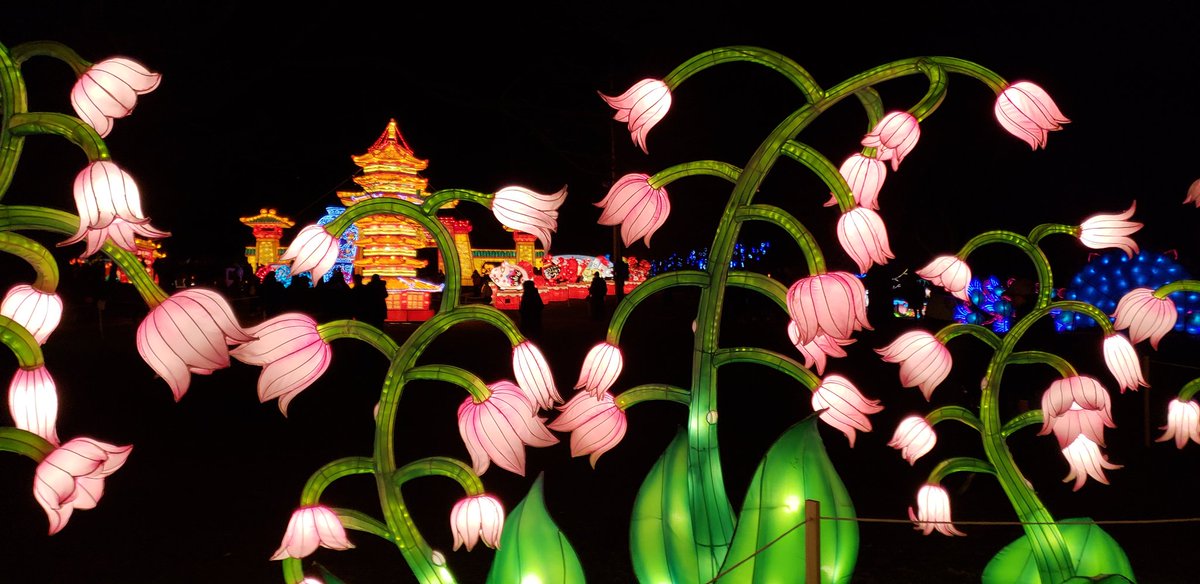 TechCatslady's tweet photo. #Winterlanternfestival #winterlantern #LEDlanterns #Lanterns #snugsharbor #nyc #StatenIsland #StatenIslandEvents #NYCWinterLanternFestival https://t.co/RK2IN016ow