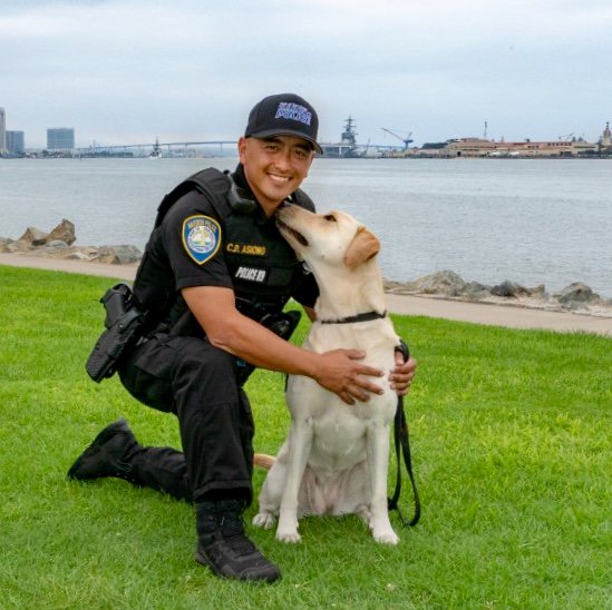 PortSDHPD's tweet image. Meet Officer Asiong and his dog “Lina”! Lina is a #labrador Together they work as a team to keep @SanDiegoAirport and @portofsandiego safe.

#police #policedog #k9 #k9unit #dog #dogs#lawenforcement #policedogs #explosive#explosivedetection #explosivedetectiondog#bombdogs