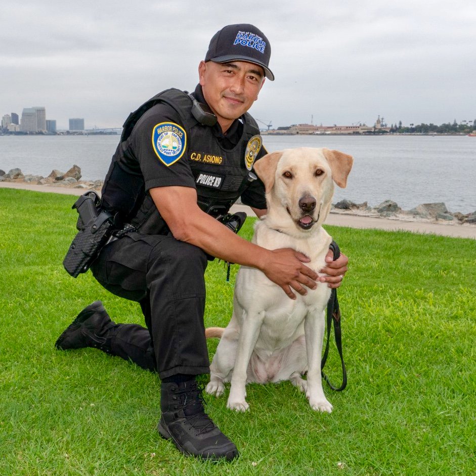 PortSDHPD's tweet image. Meet Officer Asiong and his dog “Lina”! Lina is a #labrador Together they work as a team to keep @SanDiegoAirport and @portofsandiego safe.

#police #policedog #k9 #k9unit #dog #dogs#lawenforcement #policedogs #explosive#explosivedetection #explosivedetectiondog#bombdogs