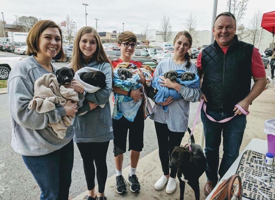 TNProverbs1210's tweet photo. We got this mama and babies today. #BakeryGroup. They are the most adorable heathens ever. #perfectpuppies https://t.co/fPIpNn5jjP