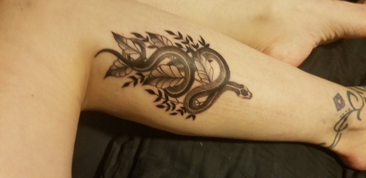 macporter2002's tweet image. Merry Christmas to me! 🐍😁