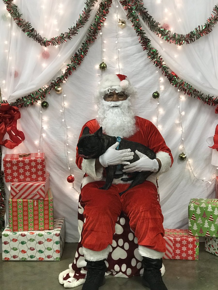 jezz_lb's tweet photo. #PetSmart #petsmartevents #petsmart2376 #PetSmartParties @cpaulchuck3 @LisasTraining https://t.co/IOo6AL7TC6