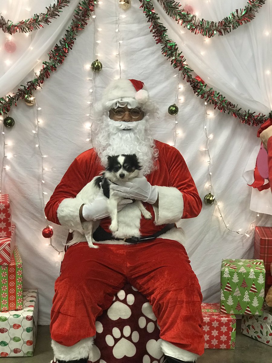 jezz_lb's tweet photo. #PetSmart #petsmartevents #petsmart2376 #PetSmartParties @cpaulchuck3 @LisasTraining https://t.co/IOo6AL7TC6