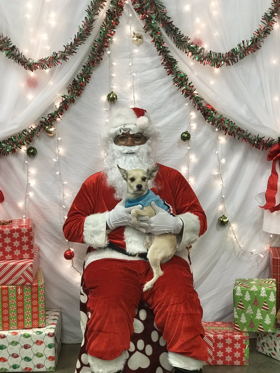jezz_lb's tweet photo. #PetSmart #petsmartevents #petsmart2376 #PetSmartParties @cpaulchuck3 @LisasTraining https://t.co/IOo6AL7TC6