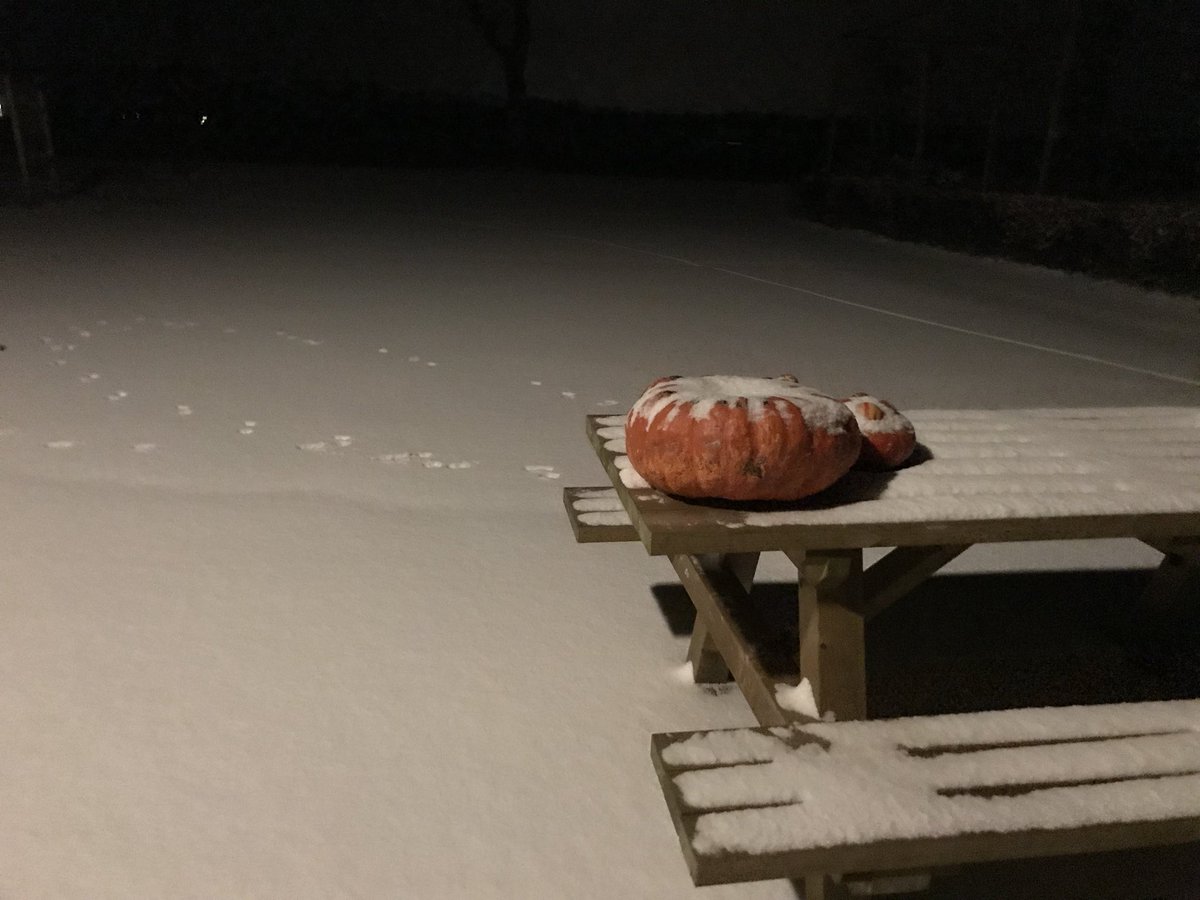 HenkBrinkDr's tweet photo. De eerste sneeuw van deze winter is een feit ! Blijft mooi . https://t.co/393bTyOOv0