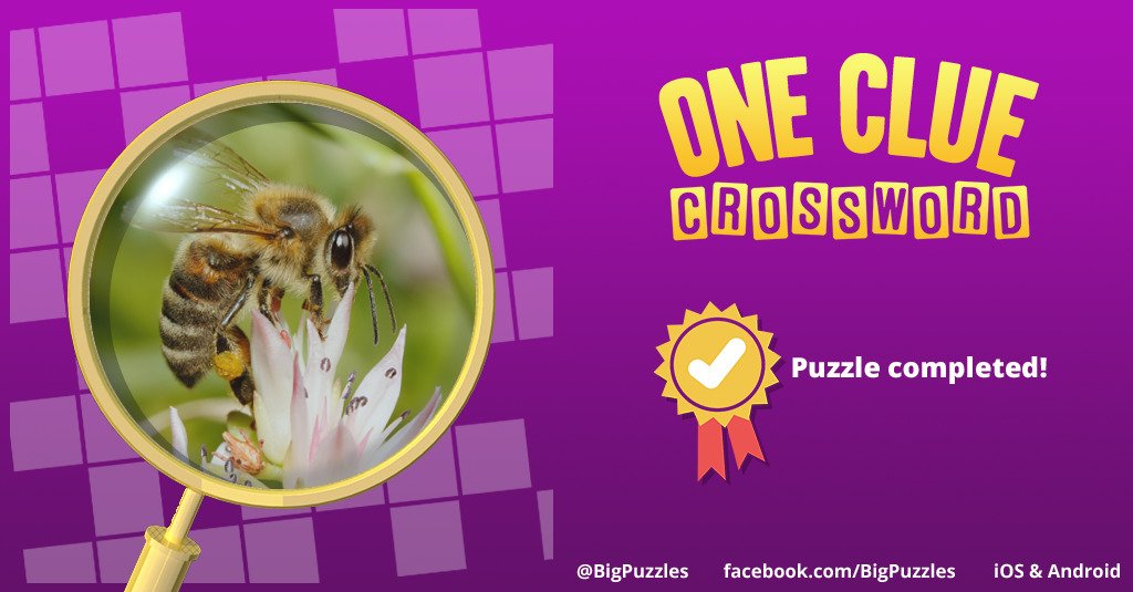 httpbitchin's tweet image. I completed a puzzle in One Clue Crossword. Play now for free!
onecluecrossword.com #OneClueCrossword