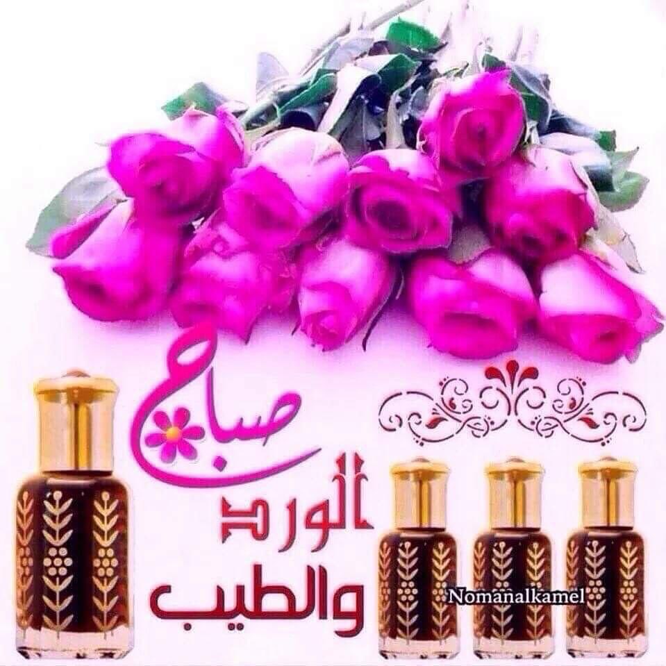 لا تأسف على احترامك وخدمتك وطيبتك للناس .. ولا تحزن إذا لم يقدر أحد طيبتك .. فالعصافير تغرد كل يوم ولا أحد يشكرها ومع هذا فإنها تستمر بالتغريد ..