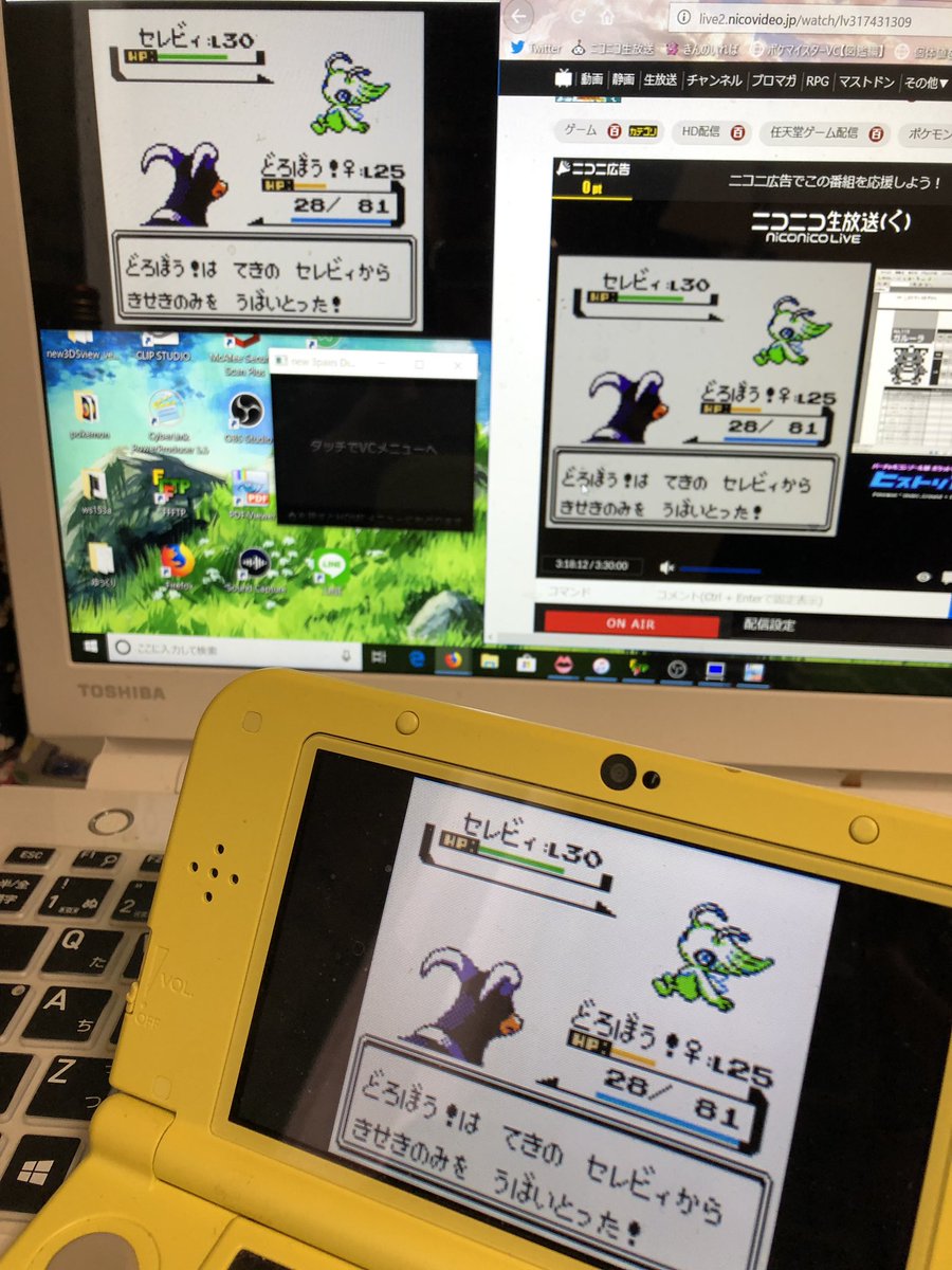 Vcのゲーム中で準備するもの きんのいれば