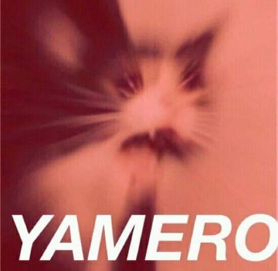 Bakugou (@bakugoexplodes) on Twitter photo 