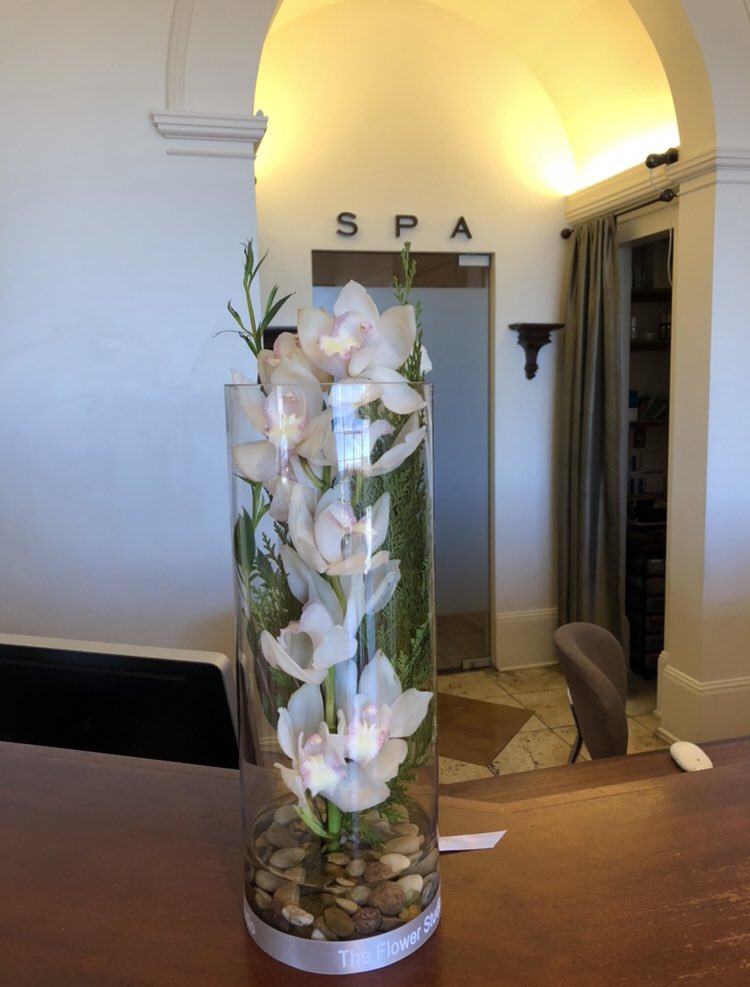 MECCAustin's tweet photo. Gorgeous orchids from The Flower Studio Austin.
@FlowerStudioATX #flowers #orchids #spa #meccagymandspa #GiftCard #giftideas #facials #massage https://t.co/1lPPGgq6LX