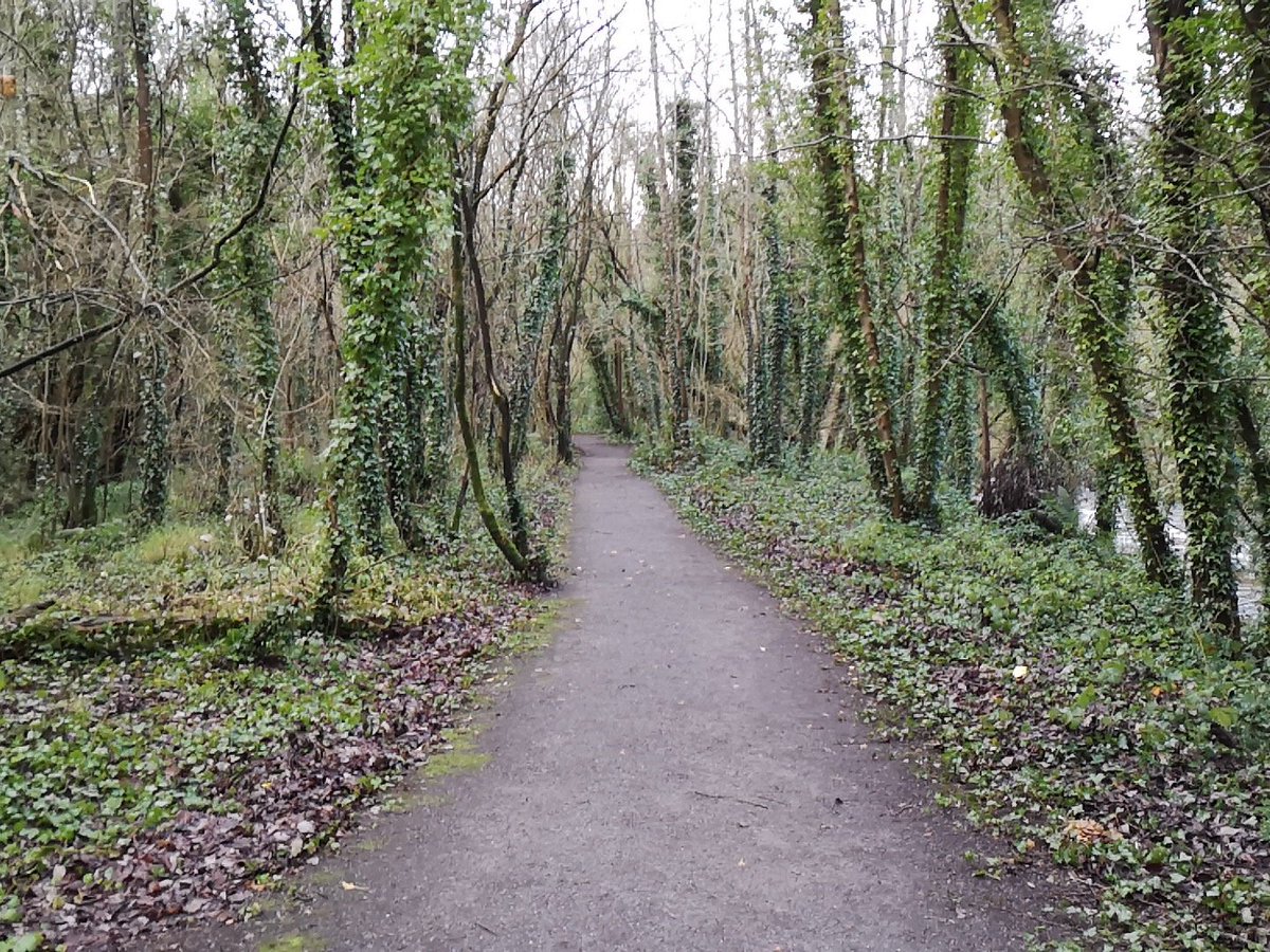 BenburbDCA (@benburbdca) on Twitter photo The Christmas elves <a href="/abcb_council/">ABC Council</a> have visited Benburb, great work to clear the trail along the Blackwater The Christmas elves <a href="/abcb_council/">ABC Council</a> have visited Benburb, great work to clear the trail along the Blackwater