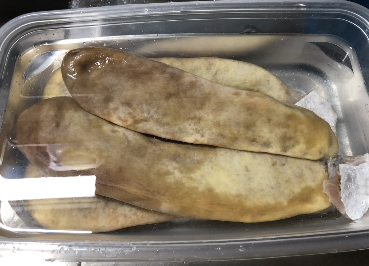 ユーエス 魚卵シリーズ 塩漬け塩抜き焼酎漬けを終えたスズキの卵です T Co Tpzvujgwfz