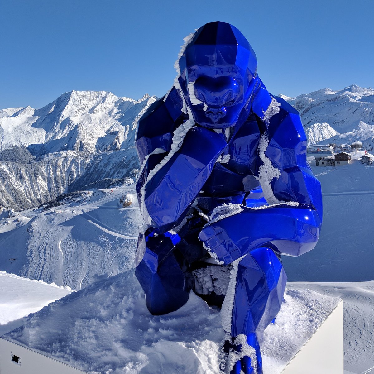 ESI First Tracks tweet media