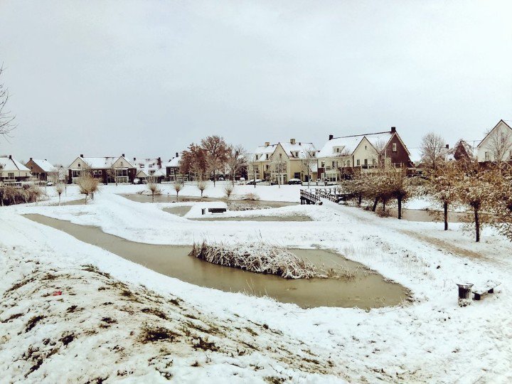 Dickensnight - Brandevoort tweet media