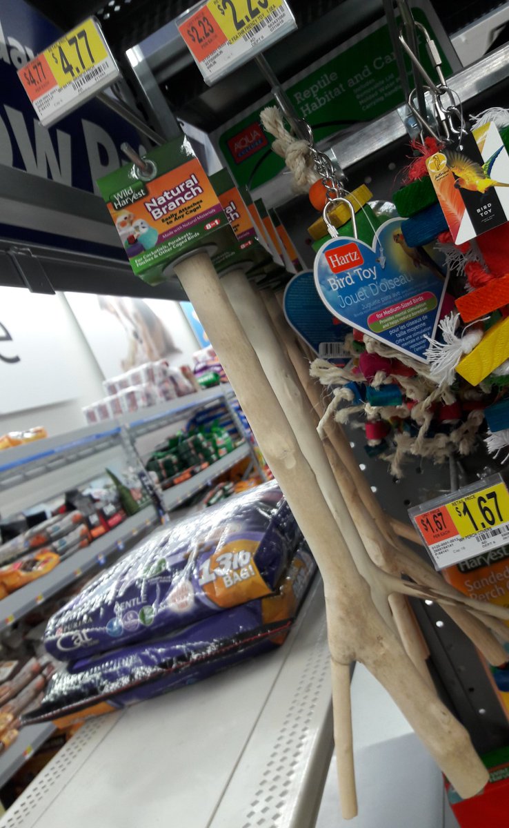 WecallhimROD's tweet photo. did you Wal-Mart has sticks for sale? I checked it out thinking surely there has to be more to it than that - nope - it's just a f■king stick and it's five f■king bucks - seriously? https://t.co/3doRmb1Uia
