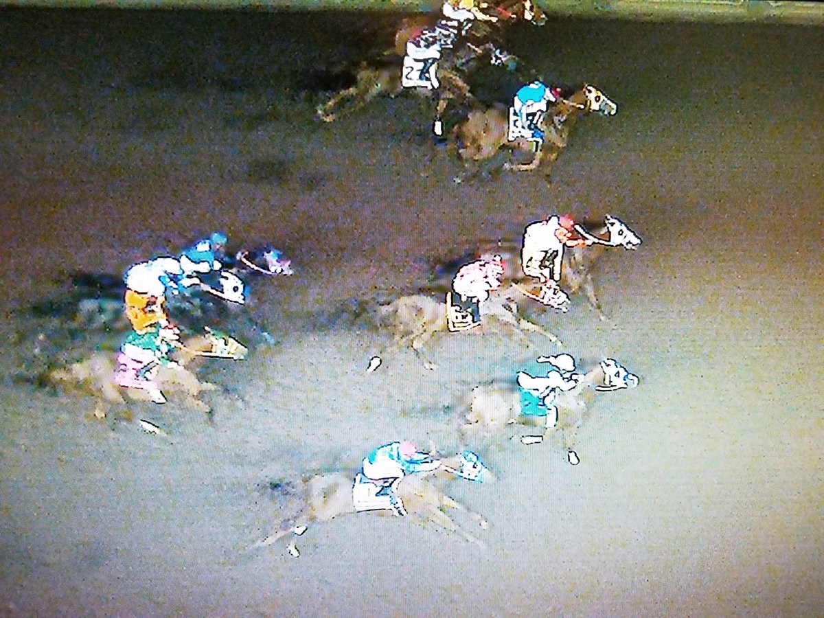 hitmanct13's tweet photo. The 2018 Champion Of Champions was as competetive as we thought it would be.  Bodacious Eagle wins the bob and holds off the late charge from Jesstacartel. @losalracing @AQHARacing @qhpilot @jana_trotter https://t.co/KV64U9sbS1