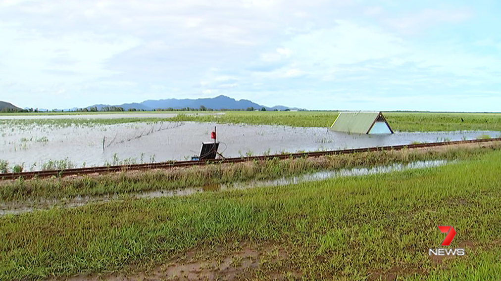 7NewsBrisbane's tweet photo. 7 News at 6pm: Farms devastated as flash-flooding hits North Queensland communities following ex-Tropical Cyclone Owen. https://t.co/dIKIXOonxM #TCOwen #CycloneOwen #7News https://t.co/bcbOF9j15w