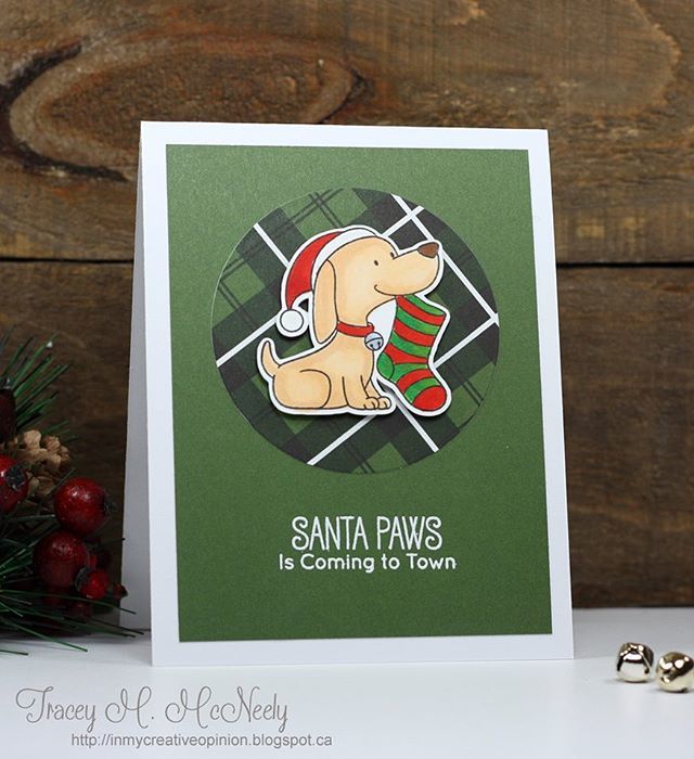TraceyMcNeely's tweet photo. Another one for the November #12kitsofoccasions getting those Christmas cards done one at a time! @mftstamps @echoparkpaper #cards #cardmaking #handmade #handmadecards #papercrafts #papercrafting #creativelife #christmas #christmascards #inmycreativeopinion #tw https://t.co/wRvIuTLya1