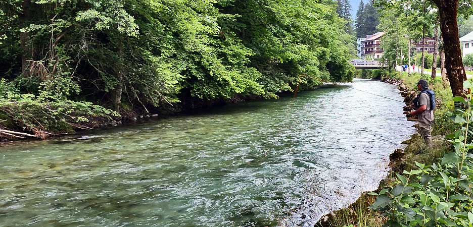 wolfi2de's tweet photo. The End of Flyfishing in 2018?
https://t.co/K84by6AaQL
#flyfishing #fabich https://t.co/N5kFOKg4b1