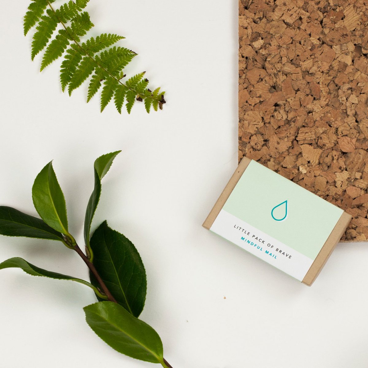 Mindful Mail tweet media