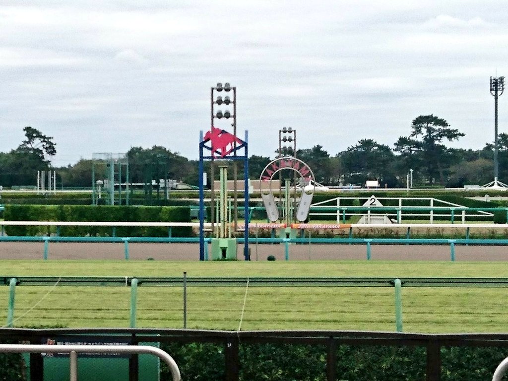 川井旭 On Twitter 第141回 中山大障害 第1回特別登録馬が発表されました 選ばれし精鋭たち 華の大障害コースへいざ 中山大障害 中山競馬場