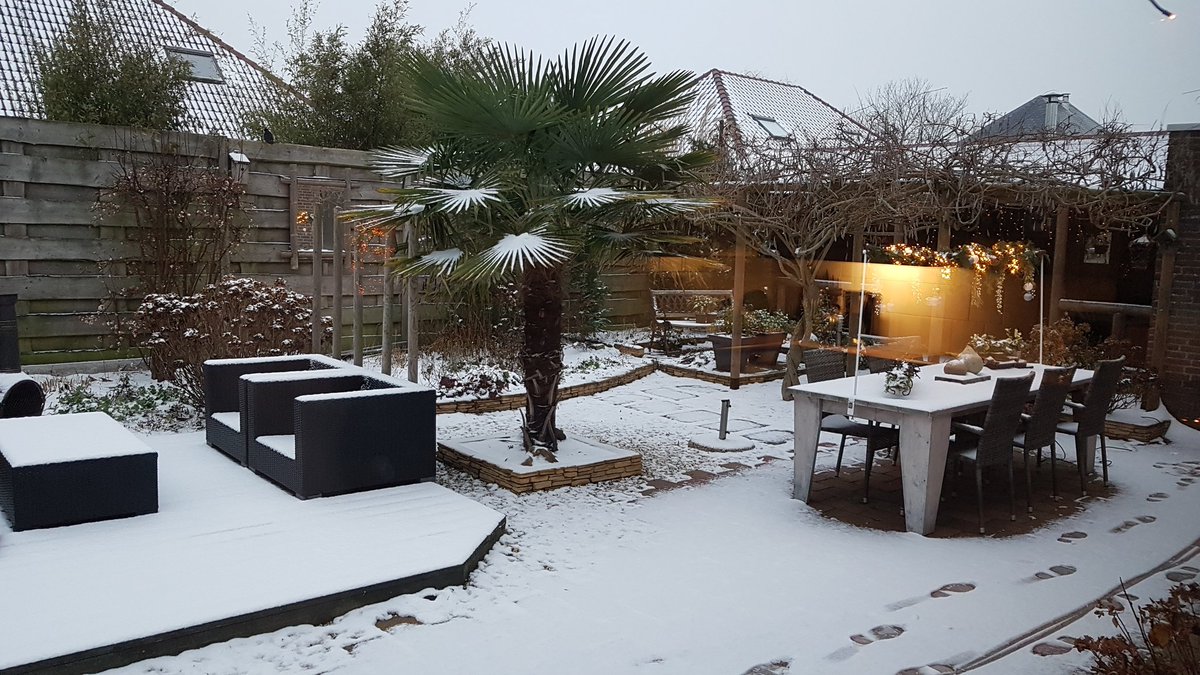PierreSteenman's tweet photo. Winterse weerslag in 't Veld 16december 2018 in de vorm vsn sneeuw. https://t.co/cQT0MfpRX8
