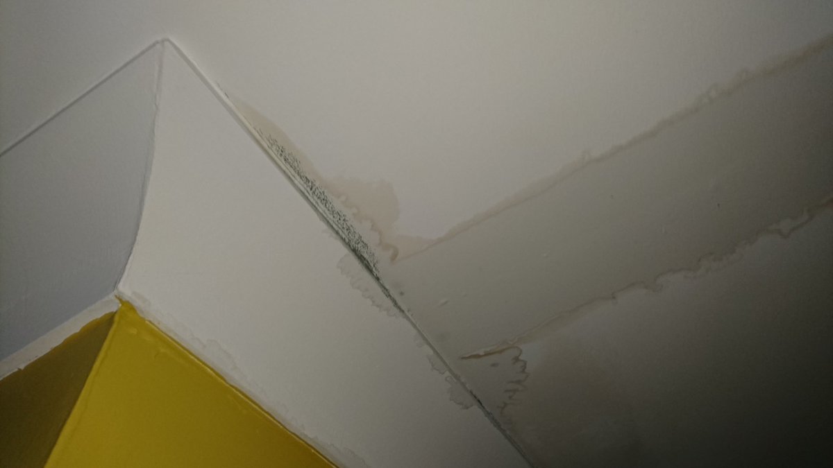 sdb1979's tweet image. @sovereignha and @lowcarbonex think that this is ok to live with (as it gets worse) until at least 10th January 😕😕 #AirCirculationSystem #Ceiling #WaterLeaking.
