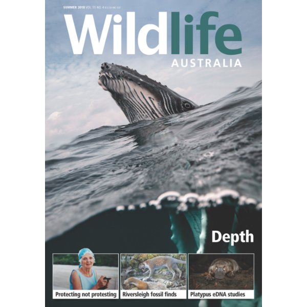 Fabulous new issue of <a href="/WildlifeAust/">Wildlife Australia</a> now on sale wildlife.org.au/shop/wildlife-… Subscribe to online or print version - also great 🎄🤶 present!