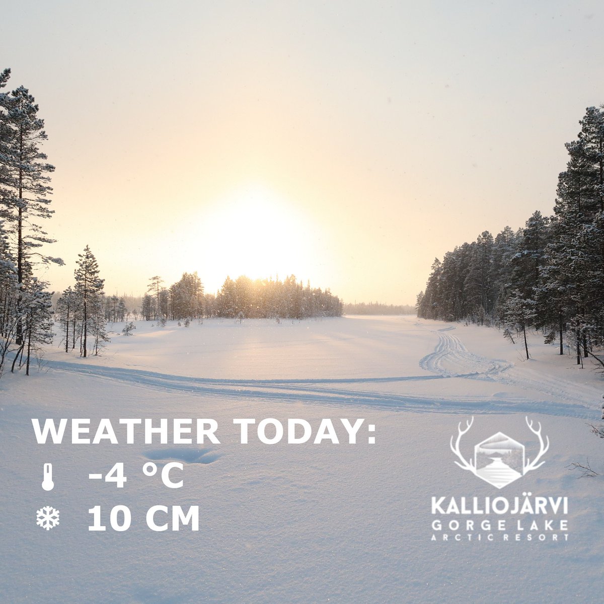 GorgeLake's tweet photo. Weather (sää in Finnish) today @GorgeLake / Kalliojärvi Gorge Lake Arctic Resort:
 🌡  -4 °C 
 ❄ 10 CM
 #northernlights #aurora #auroraborealis #arcticresort #winterwonderland #visitfinland #finland #lapland #gorgelake #sallainthemiddleofnowhere #bucketlist #stars #snow #weather https://t.co/8Tx4Ye3jEF