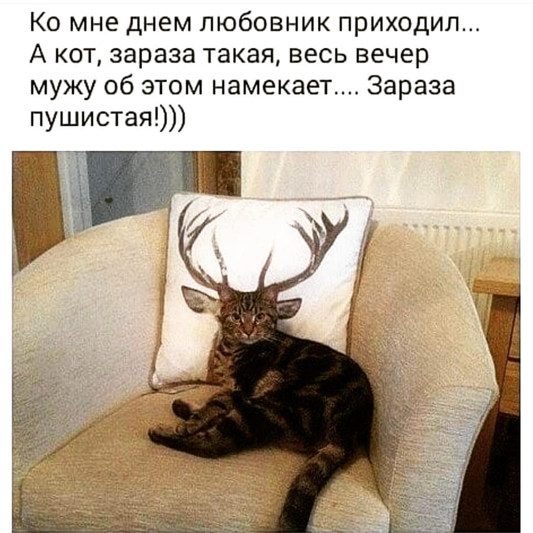 StoikoVova's tweet photo. https://t.co/Y3kKoTtEMA