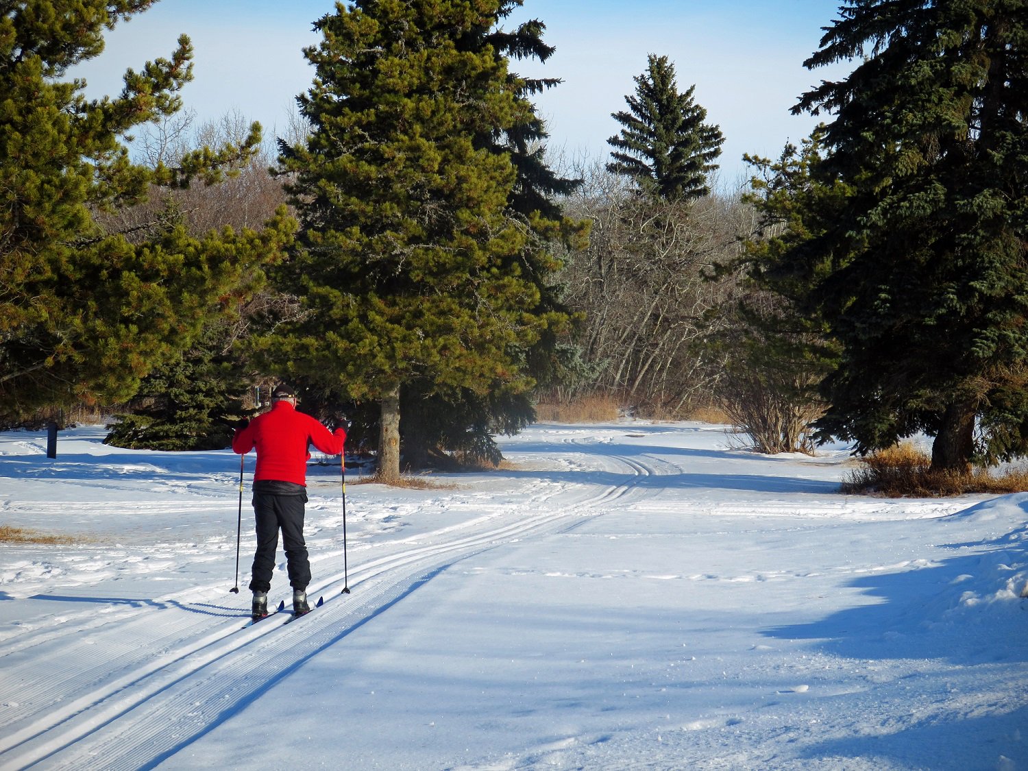 Alberta Parks on Twitter "Miquelon Lake Provincial Park's tracks are