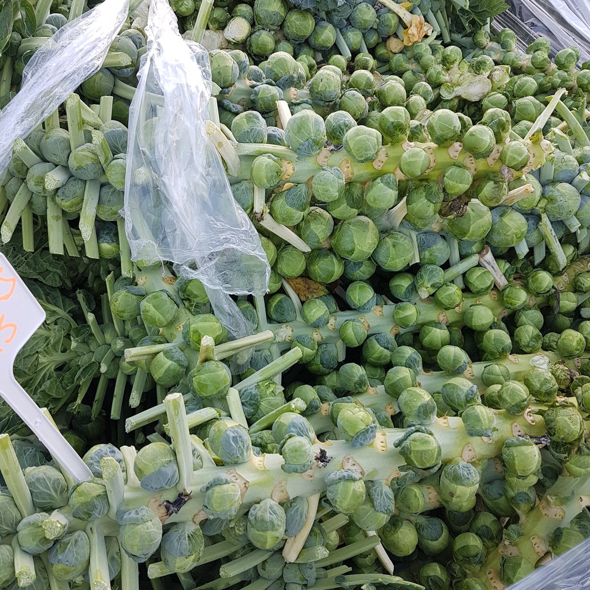 CliftonvilleFM's tweet photo. Happy Christmas everyone! Thanks for supporting the farmers market during 2018. We'll be back on Sunday 27th January.  In the meantime,  enjoy your local sprout sticks 🎄🤶🎅 https://t.co/jVGpnCGF7P