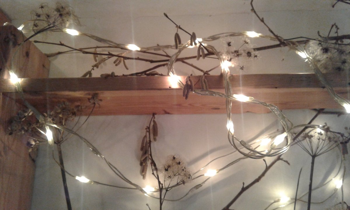 rachel_remnant's tweet photo. Beech, hazel, old mans beard and hogweed making beautiful christmas house guests! A pleasure gathering them. #compostablechristmas @HantsIWWildlife https://t.co/Yn64OYqzIp