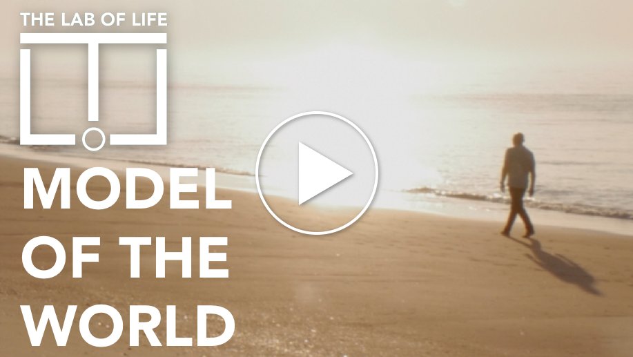 The Lab of Life tweet media