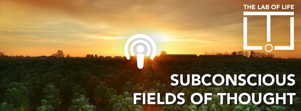 What really determines how you experience the world, and what would it be like to control it? Letter From The Lab - mailchi.mp/d742ee151974/l…