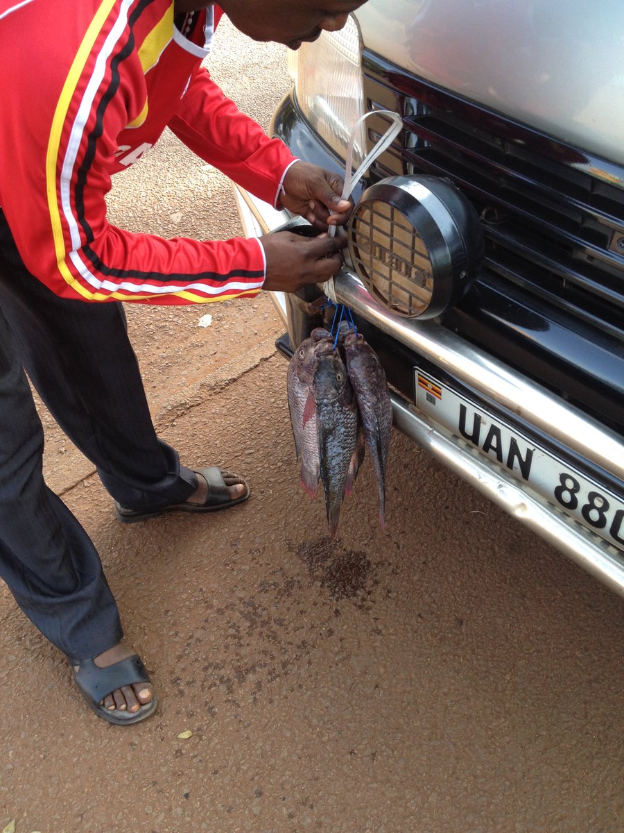 UgandaFood's tweet photo. Proper way to refrigerate and transport fish #ugandanstyle https://t.co/jxXzLrArus