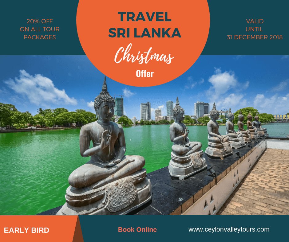 ThilanWijegunar's tweet photo. 🇱🇰 #SriLanka #Ceylon #LKA #VisitSriLanka #Travel #Tourism #TTOT #CeylonValley #OurWorld #ThilanW #WanderlustXL
RT|Ceylon_Valley: Let the deal determine your destination! We’ll provide customized tour packages for Best place for those who want to relax a… https://t.co/L9YxtyviHH