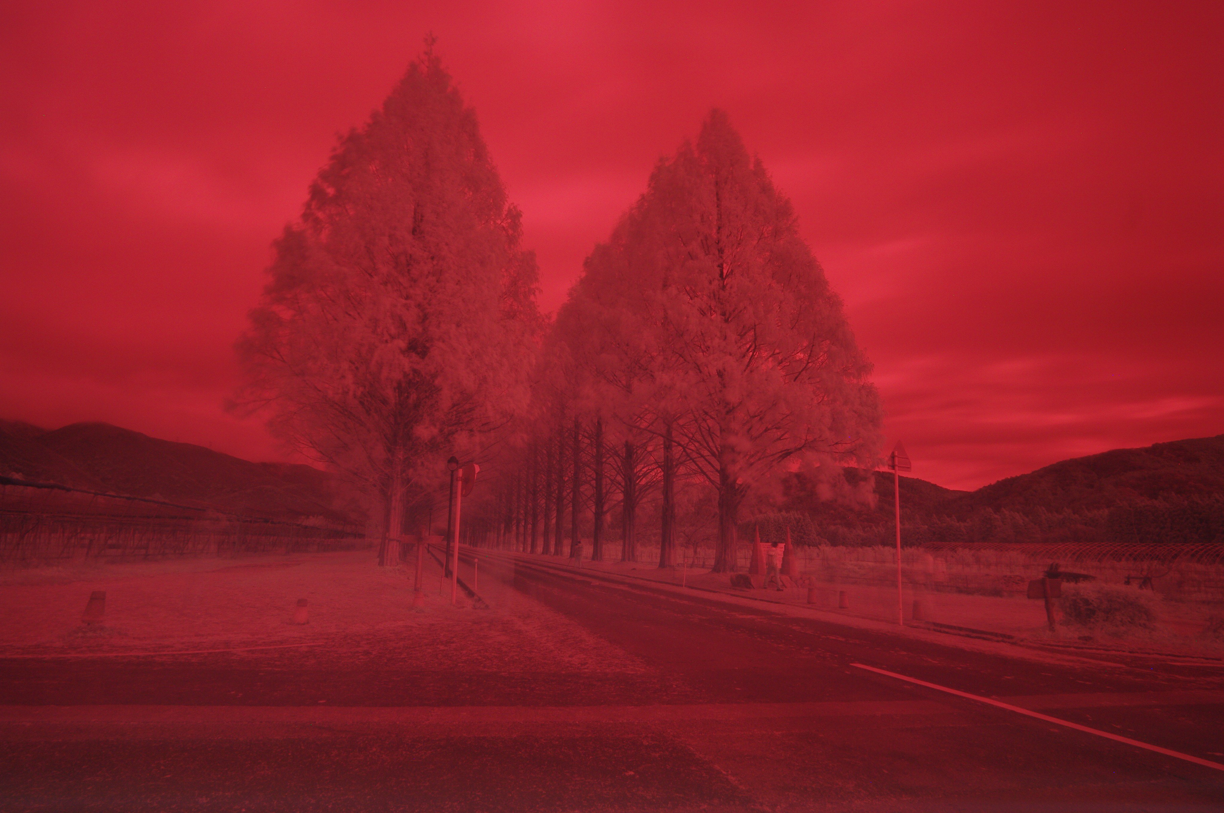 赤外線撮影 Twitter Search Twitter