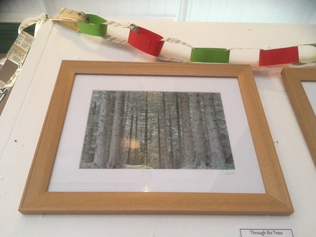 Calming photo taken through the trees, on sale <a href="/TheOldTownHall/">The Old Town Hall</a> #Christmas #exhibition