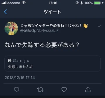 画像 / Picture