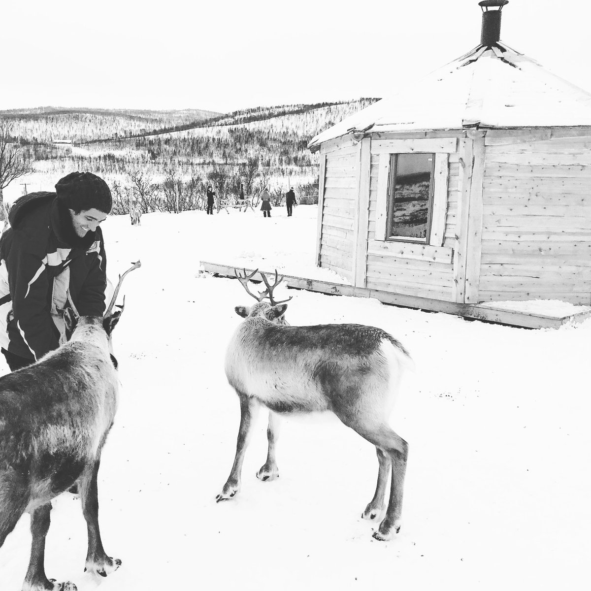 SamDixon94's tweet photo. 🇳🇴🦌☃️ https://t.co/7AwLgdpMDv