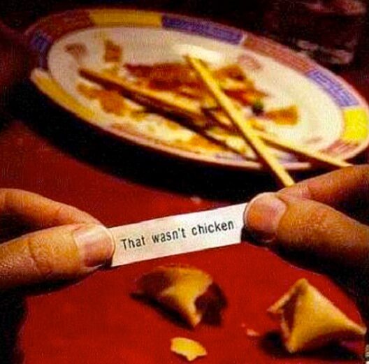 Was hat die Achillessehne mit Zecken zu tun ? Ein Fall aus der Praxis. chmp.ly/4mr