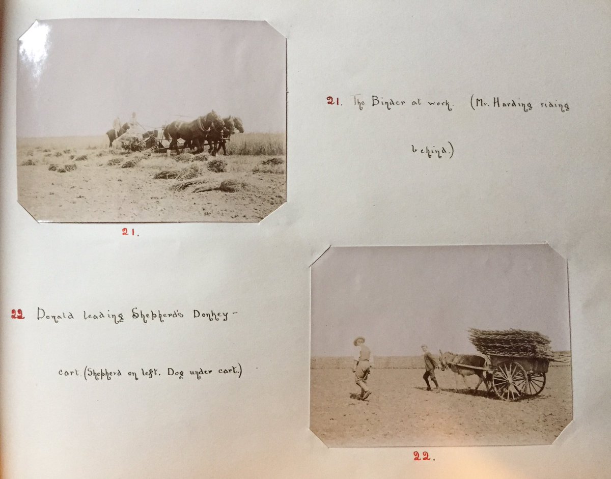 ShillingCurate's tweet photo. New photograph album discovery! The entrepreneur ... I hadnβt realised the schoolboy, young Herbert Cowl, my grandfather had put his love of photography to good use selling some of his pictures to make a few extra pennies! #Brockenhurst #Bowerchalke #photography #NewForest #Wilts https://t.co/UGe24NDRXL