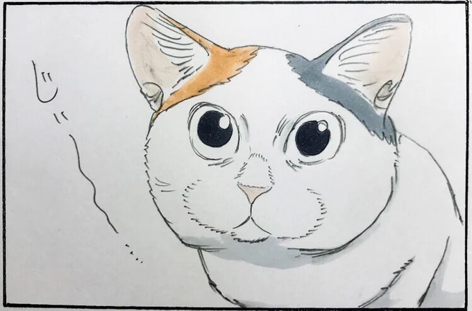 『見つめる先』 