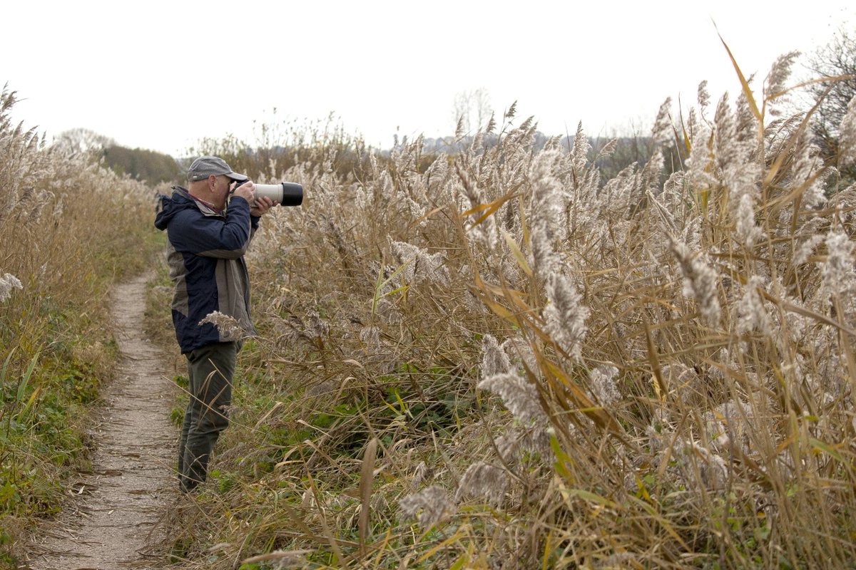 SchoolDevon's tweet photo. @SchoolDevon student Brian brushing up his bird shooting skills on a gentle stroll through the Exminster Marsh RSPB sanctuary. The Kingfisher got away but the Canada Geese were happy to pose. https://t.co/Q84Ojrhy3R