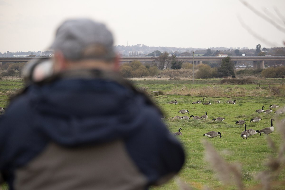 SchoolDevon's tweet photo. @SchoolDevon student Brian brushing up his bird shooting skills on a gentle stroll through the Exminster Marsh RSPB sanctuary. The Kingfisher got away but the Canada Geese were happy to pose. https://t.co/Q84Ojrhy3R
