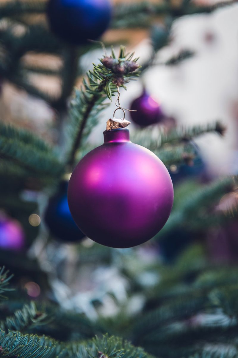 Mr_Highline_'s tweet photo. Baubles, sparkling lights, warm mulled wine🍷We can't wait for Christmas Day... and we only have 11 sleeps to go! 🎄☃️
#Christmas #ChristmasTree #mrinspo #mrhighline #hospitalitymarketing #brandstorytelling #socialmediamarketing #hospitality #contentmarketing #creativeagency https://t.co/xSKOOflQlg