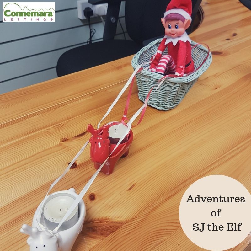 connemaralets's tweet photo. Wonder where these lot have been??? #elfontheshelf #ConnemaraHolidayLettings #ChristmasisComing #WildAtlanticWay #SelfCatering #MischievousElf https://t.co/xDMdxI75CE