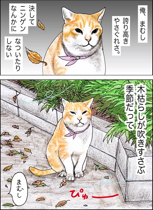 や、どうも。やさぐれ会のその七だよ。俺が夜回り猫さんみたいだねって、おじいちゃんが。 
