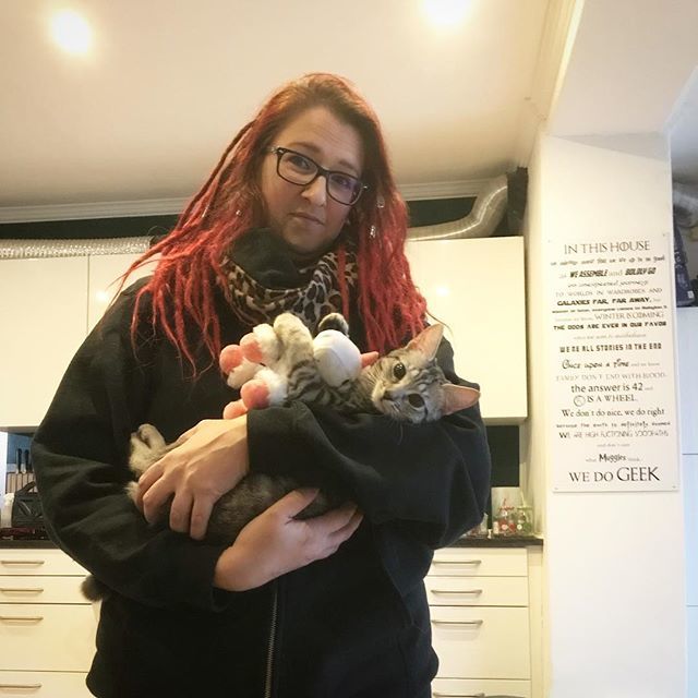 IsaTheobald's tweet photo. Die Katze hat jetzt ein Einhorn. Ich weiß ja auch nicht, wie das passieren konnte. #catsofinstagram #catsagram #katzen #katzenkind #katzenliebe #einhorn #dreads #redhead #dreadhead #reddreads #mypersonaltribeofweirdness #happyme #sofluffyimgonnadie https://t.co/KaOjxeO7nL https://t.co/kXyo2Erfc7